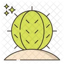 Golden Barrel Cactus  Icon