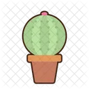 Golden Barrel Cactus Nature Plant Icon
