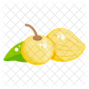 Golden Berries Cape Gooseberry Fruit Icon