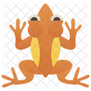 Golden Frog  Icon