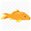 Goldener Koi Teichfisch Hecht Icon