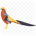 Golden Pheasant  Icon