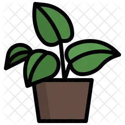 Golden Pothos  Icon