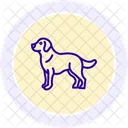 Perro Perdiguero De Oro Icono