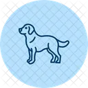 Golden Retriever Perro Icono