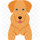 Golden Retriever Dog Animal Icon
