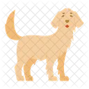 Golden Retriever Dog Puppy Icône