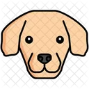 Golden Retriever Pet Dog Dog Icon