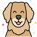 Golden Retriever dog  Icon