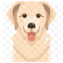 Golden Retriever  Icon