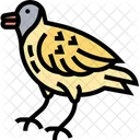 Goldfinch Fauna Wildlife Icon