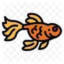 Goldfish  Icon