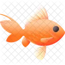 Goldfish Fish Animal Icon
