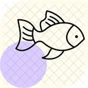 Goldfish Pet Fish Icon