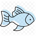 Goldfish Pet Fish Icon