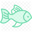 Goldfish Pet Fish Icon