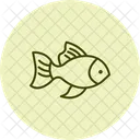 Goldfish Pet Fish Icon