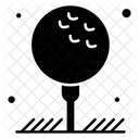 Golf Ball  Icon