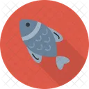 Golfinho  Icon