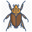 Goliath Beetle  Icon
