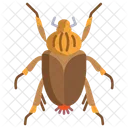 Goliath Beetle  Icon