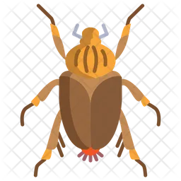 Goliath Beetle  Icon