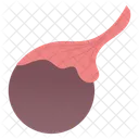 Gonads  Icône