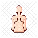 Posture Correct Spine Icon