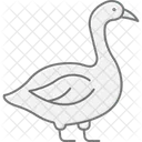 Goose Bird Water Icon