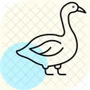 Goose Bird Water Icon