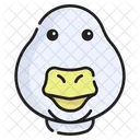 Bird Beak Duck Icon