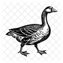 Goose Waterfowl Bird Icon