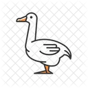 Goose Bird Poultry Icon
