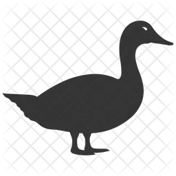 Goose bird  Icon