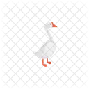 Goose Duck Bird Icon