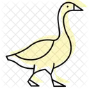 Goose Walking Goose Walking Icon