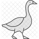 Goose Walking Goose Walking Icon