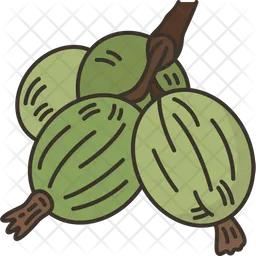 Gooseberries  Icon