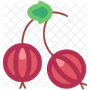Gooseberry Berry Berries Icon