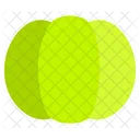Gooseberry Fruit Healthy Icon