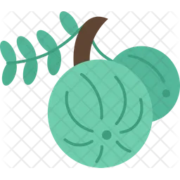 Gooseberry  Icon