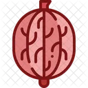 Gooseberry  Icon
