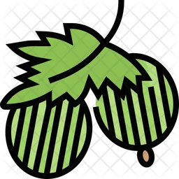 Gooseberry Cape  Icon