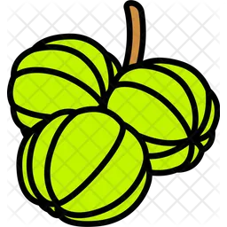 Gooseberry Three  Icon