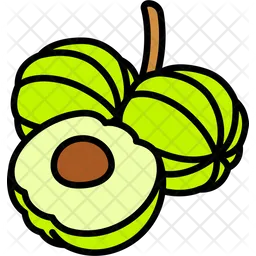 Gooseberry With Half Cut  Icon