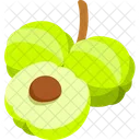 Gooseberry With Half Cut Gooseberry Vegetable Icon