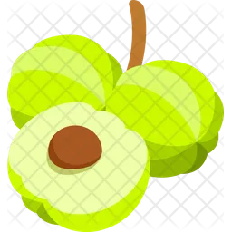 Gooseberry With Half Cut  Icon