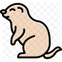 Gopher Mammal Rodent Icon