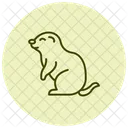 Gopher Icon