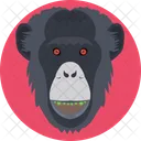 Gorilla Monkey Head Icon